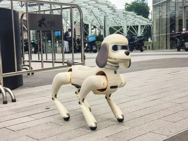 千亿级IP市场激活文旅新消费：“巨星狗”上海旅游节首秀“周同