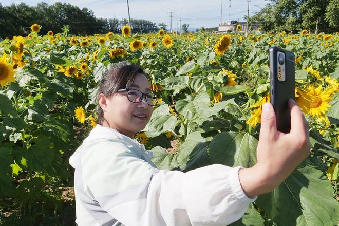 藏不住了！顺义秋日限定花海安排